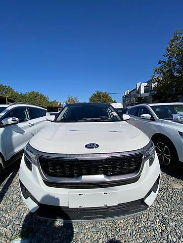 Kia Seltos: 2021 г., 1.5 л, Автомат, Гибрид, Кроссовер