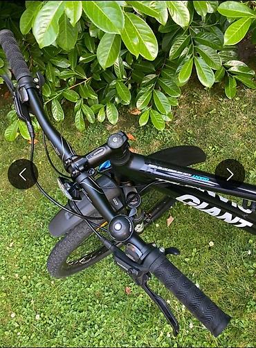 Bicikli za odrasle: Giant Talon – planinski bicikl - Ram: aluminijumski, geometrija za — 4