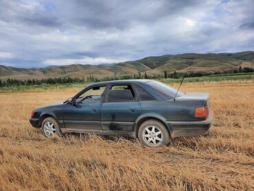 Audi: Audi 100: 1994 г., 2.8 л, Механика, Бензин, Седан