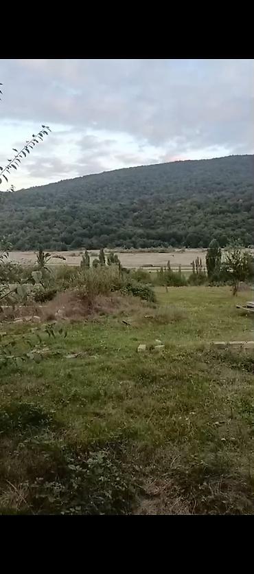 Həyət evləri və villaların satışı: 6 otaqlı, 180 kv. m — 11
