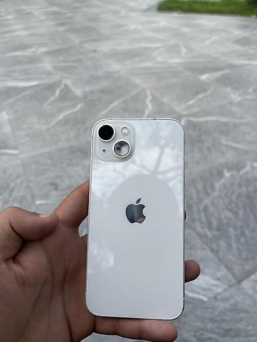 IPhone 13, Ağ