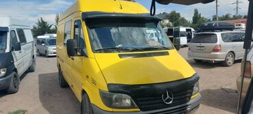 кингурятник на спринтер: Mercedes-Benz Sprinter: 2003 г., 2.7 л, Механика, Дизель, Бус