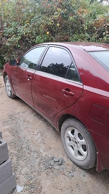 Toyota: Toyota Camry: 2002 г., Автомат, Бензин, Седан — 3