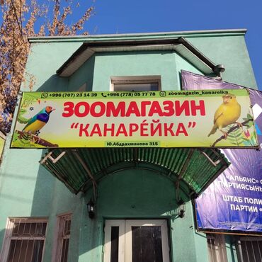 Зоотовары: Гнёзда для птиц! — 13