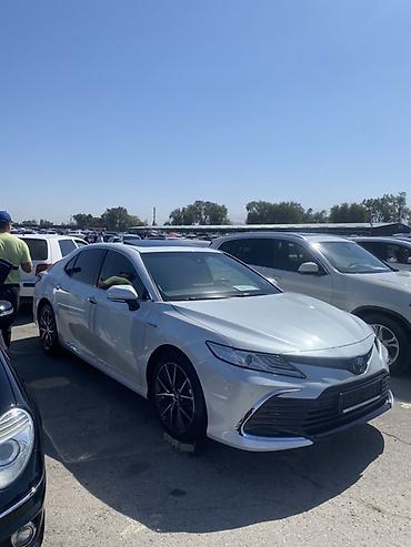 Toyota: Toyota Camry: 2023 г., 2.5 л, Автомат, Гибрид, Седан — 1