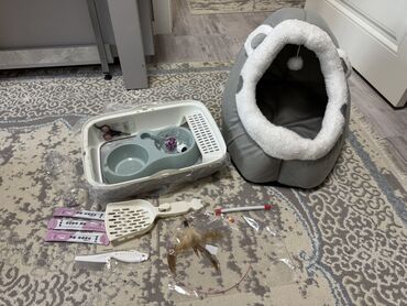 разные породы кошек: Набор для кошки/котёнка Состав: - Домик-лежанка в виде акулы: мягкий