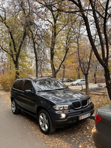 BMW: BMW X5: 2005 г., 3 л, Автомат, Дизель, Внедорожник