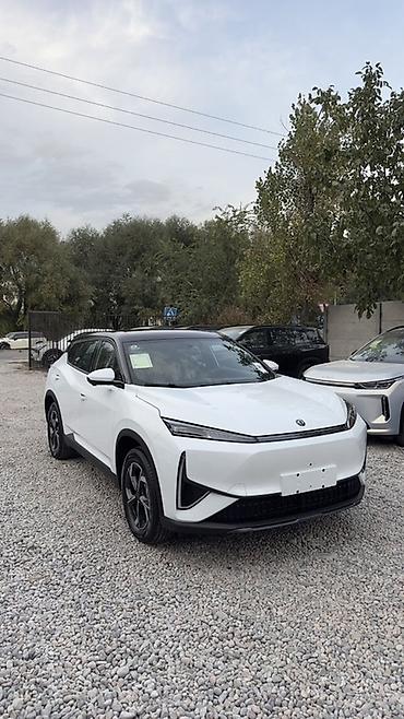 Dongfeng: Dongfeng : 2026 г. — 1