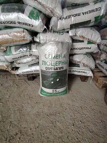 Люцерна: Люцерна ( Беде ) оптом и розница — 5