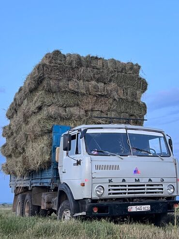 продать животных: Камаз 10ка мотор р1 донголоктор 10дук