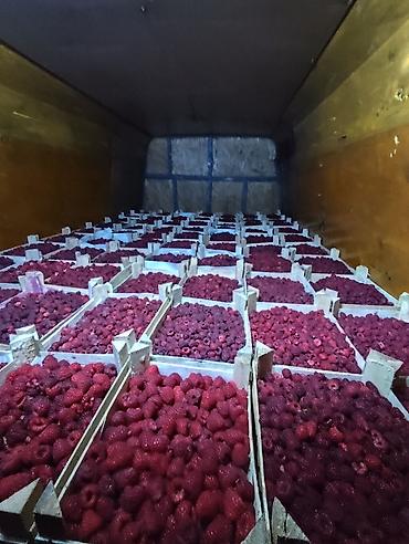 Услуги портера: Грузоперевозки Бишкеке Каракол.Каракол Бишкекюгсевер.любой груз до at lalafo.kg — 8 Услуги портера: Грузоперевозки Бишкеке Каракол.Каракол Бишкекюгсевер.любой груз до — 8