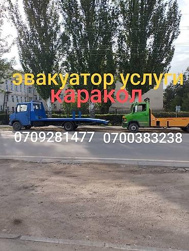 каменный ковер цена: С лебедкой, С ломаной платформой — 3