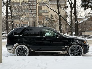 BMW: BMW X5: 2004 г., 4.8 л, Автомат, Бензин, Кроссовер — 16