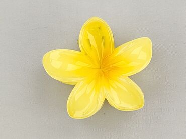 Hair clip, Unisex, condition - Perfect