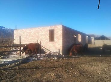 монолитные работы бишкек: Кладка кирпича Кирпич каменщик — 3