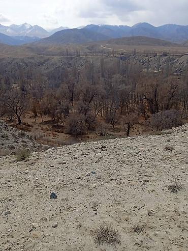 Продажа участков: 787 соток, Для сельского хозяйства, Красная книга, Договор купли-продажи — 8