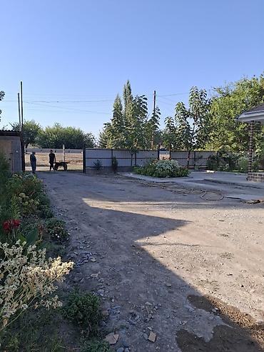 место отдыха: Продается дом! Московский район село Петровка. На первой линии вдоль — 6