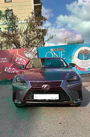 lexus cs: Lexus NX: 2017 г., 2 л, Автомат, Бензин, Кроссовер — 1