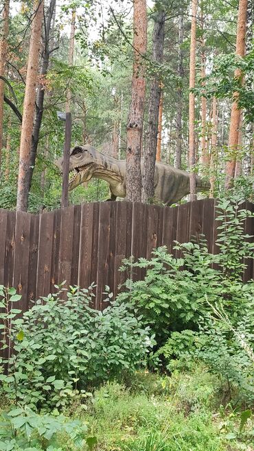квартиры район политех: 1 бөлмө, 35 кв. м, Эмереги менен