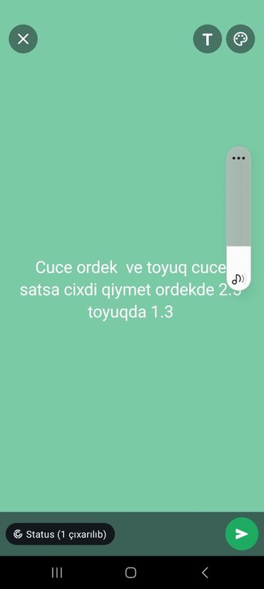 Cücələr: Toyuq cücələri, Damazlıq, Pulsuz çatdırılma