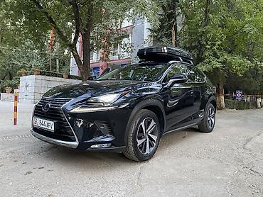 снижена: Lexus NX: 2018 г., 2.5 л, Автомат, Бензин, Кроссовер — 1