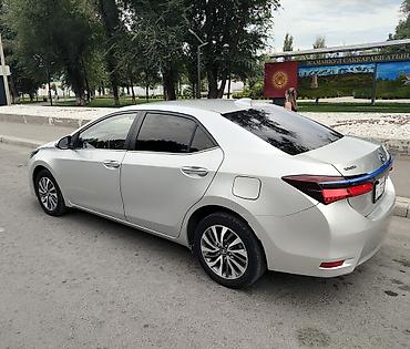 e53 amg: Toyota Corolla: 2020 г. — 6