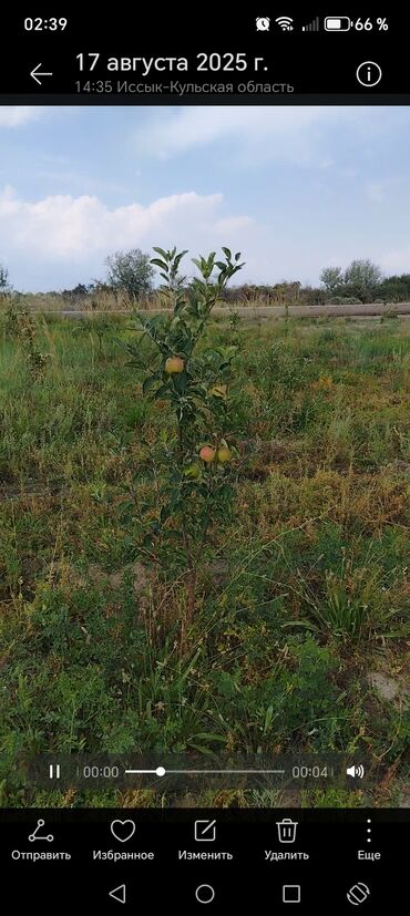 Продажа участков: 450 соток, Для бизнеса, Договор купли-продажи at lalafo.kg — 24 Продажа участков: 450 соток, Для бизнеса, Договор купли-продажи — 24