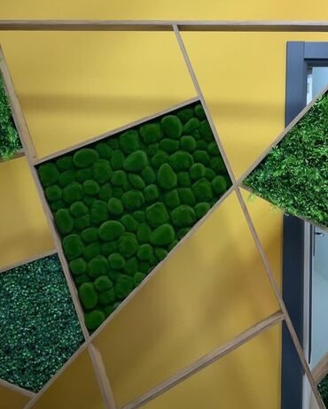 Digər ev dekoru: Kv 25 azn baslayan yasil dekorlar
Her olcude hazrlanr 
Depodan satis — 5