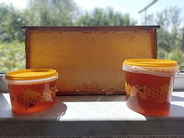я твоё средство для всего бишкек: Продаю свежий горный мед ! Вкусный ароматный с собственной пасики ! 1