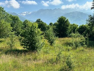 xacmaz torpag: 24 sot, Biznes üçün, Barter mümkündür, Kupça (Çıxarış)