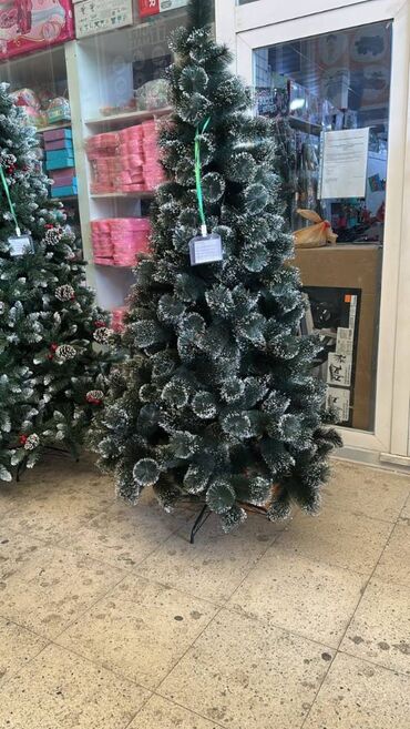 Süni güllər: YENI IL YOLKALARI HƏR ÇÜR ÇEŞİDLƏR VAR kreditle tək şəxsiyyət