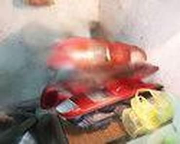 kamere za auto 360: FAROVI ZA FORD FIESTA OD 2001. DO 2005. GOD. | Ford Fiesta 5.farovi — 5