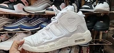 premiata 483 original: Orginal model sa kutijom 39 do 45 za samo 4200 din — 7