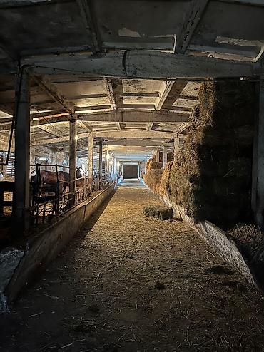 Аренда цехов, заводов и фабрик: Продается ферма (сарай) в г.Кара-Балта, село Ак-Башат. 3х комнатная — 3