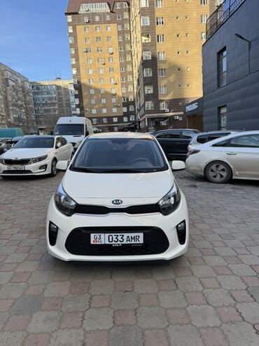 Kia: Kia Picanto: 2019 г., 1 л, Автомат, Бензин, Хэтчбэк — 2