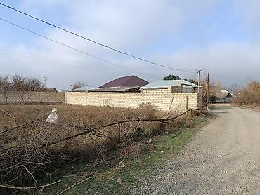 Torpaq sahələrinin satışı: 25 sot, Kənd təsərrüfatı, Mülkiyyətçi, Kupça (Çıxarış) -da lalafo.az — 3 Torpaq sahələrinin satışı: 25 sot, Kənd təsərrüfatı, Mülkiyyətçi, Kupça (Çıxarış) — 3