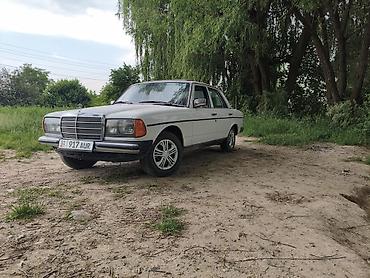 argb controller: Mercedes-Benz W123: 1982 г., 2.4 л, Автомат, Дизель, Седан — 1