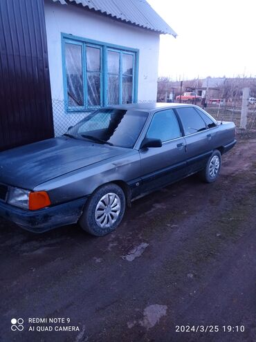 машина ош тико: Audi 100: 1988 г., 2 л, Механика, Бензин, Седан