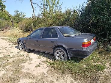 акорд 1992: Honda Accord: 1989 г., 2.3 л, Механика, Бензин, Седан — 2