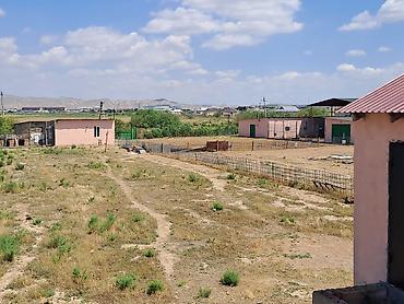 fermaya: Haciqabulda ferma satılır.15 hektar.350kv.tikili.kənd tədərrüfatı — 9