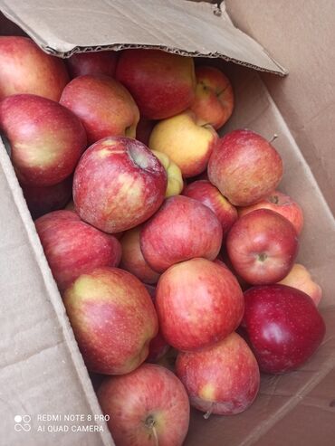 фруктовый себет: Алмалар