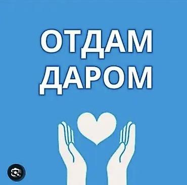 наруто вещи: Отдам даром Детские вещи для девочек 1-2 годика В идеальном состоянии — 1