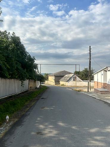 Bağ evlərinin kirayəsi: 🏡 İSMAYILLI – CÜLYAN KƏNDİNDƏ GÜNLÜK BAĞ EVİ | 50 AZN İsmayıllının — 4