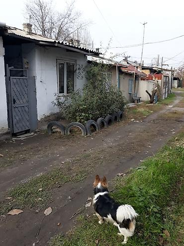 Продажа барачных домов: Кв'барачного'типа'Бишкек 'ул at lalafo.kg — 1 Продажа барачных домов: Кв'барачного'типа'Бишкек 'ул — 1