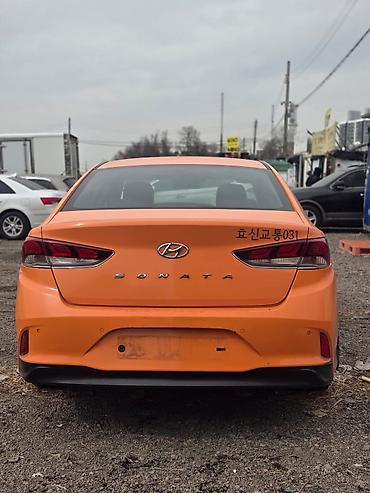 Hyundai: Hyundai Sonata: 2019 г. — 8