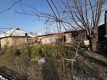 Продажа дач: Продается дом в районе дачи Суу рядом с аэропортом Манас 8 сот — 8