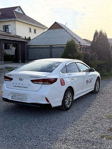 byd e2: Hyundai Sonata: 2019 г., 2 л, Автомат, Газ, Седан — 4