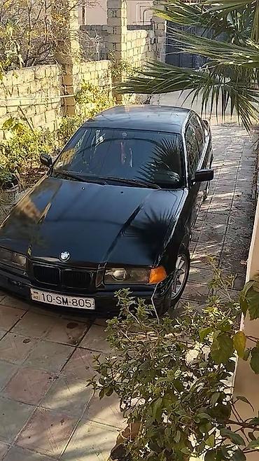 bmw e36 kuza: BMW 3 series: 1.8 l | 1995 il Sedan — 6