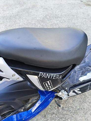 Скутеры: 1/4 в Кыргызстане — 5