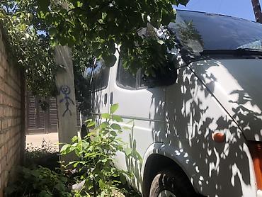 sprinter rex: Ford Transit: 1996 г., Газ, Бус — 3